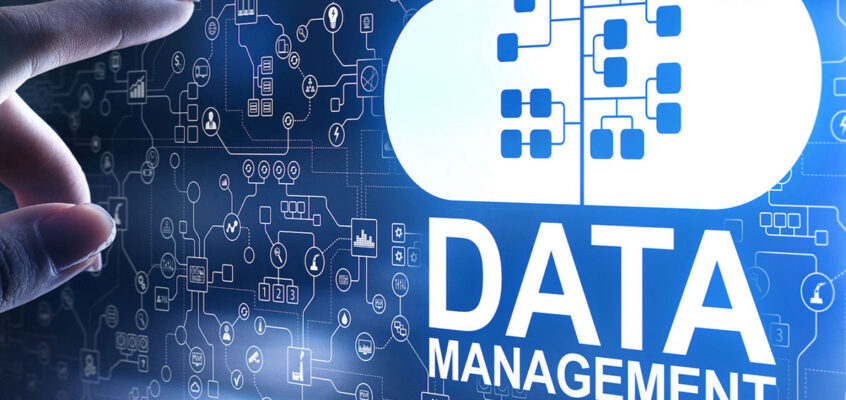 Are You Getting Enough Leverage From Your Data Management Service Provider?